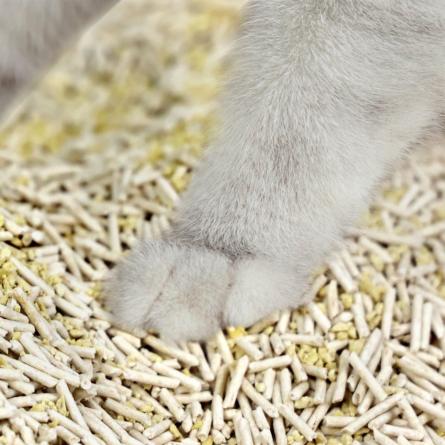 VERSAPET Katzenstreu Tofu-Katzenstreu 2.0 gemischt mit Millet,(4 x 10 Liter/4.6 kg, 4-tlg., Bio-Öko-Katzenstreu), Klumpstreu für Katzenklo, Cat Litter, feste Klumpenbildung