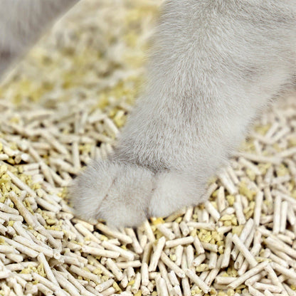 VERSAPET Katzenstreu Tofu-Katzenstreu 2.0 gemischt mit Millet,(4 x 10 Liter/4.6 kg, 4-tlg., Bio-Öko-Katzenstreu), Klumpstreu für Katzenklo, Cat Litter, feste Klumpenbildung